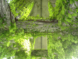 under the bridge2.JPG